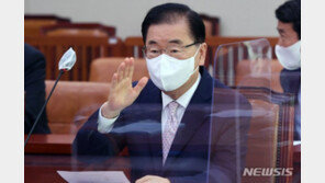 정의용, 北 신형 미사일 발사에 “문제 해결 위한 대화 필요…외교 시급”