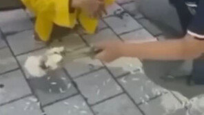 60대 할머니에 ‘담배 셔틀’ 고교생, ‘퇴학’ 아닌 ‘자퇴’ 처리