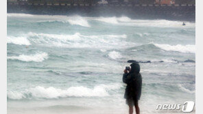 태풍 ‘찬투’에 제주 바닷길 끊겼다…제주항 폐쇄·어선 대피령
