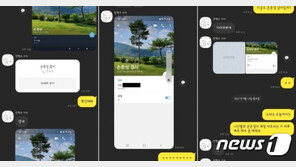 조성은, ‘손준성보냄=손준성 검사’ 입증 자료 공개 “수사기관에 제출”