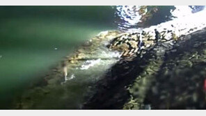 “우리 딱 하루만 더 살아봐요”…극단 선택 막은 한 마디(영상)