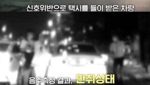 경찰차 앞에서…뺑소니 후 도주한 만취 벤츠녀 (영상)