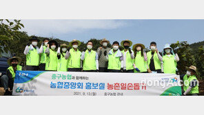 농협중앙회 홍보실-인천 중구농협, 수확기 일손돕기 앞장