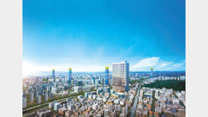 2000만∼3000만원대로 투자 가능… 안양 초역세권 ‘비즈니스센터’