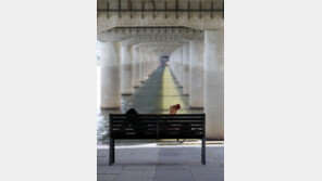 [고양이 눈]누워서 맞이하는 가을