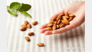매일 아몬드 먹으면 피부 자외선에 강해진다