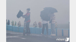 태풍 찬투, 17일 남해 앞바다 통과…제주 최대 300㎜ 더 올 듯