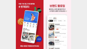 [주간투자동향] 번개장터, 신한금융으로부터 300억 원 투자 유치