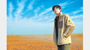 돌아온 ‘뽀글이’의 계절… 자꾸 손이 가네