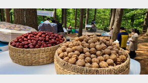 산림청, 다문화 이주여성 대상 韓 임산물 요리 동영상 공모전