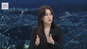 조성은 “국정원법 위반 없다…공익신고에 불이익 행위 법적조치”