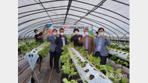 농협, 딸기 스마트팜 시범운영
