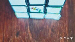 [고양이 눈]안 되면 되게 하라