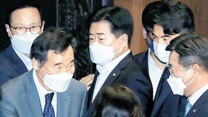 이낙연 “가장 중요한것 던져” … 사직안 국회 가결