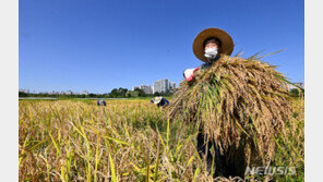식량 비축 늘리고 먹거리 양극화 해소…국가식량계획 첫 발표