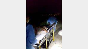 산책중 수로 빠진 50대, 풍경사진 덕에 구사일생