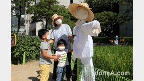 [포토]농업박물관 야외체험농장에 청년농부 허수아비 설치