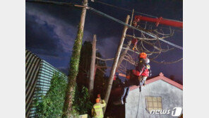 장마 같은 태풍 ‘찬투’…제주 나흘째 강풍·폭우 피해 잇따라