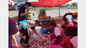 ‘꽃게의 계절’이 돌아왔다