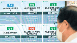 분양가 1~8위가 도시형주택… 非아파트 규제 풀어도 ‘그림의 떡’ 