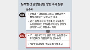 중앙지검 尹 전방위 수사… 檢내부 “특-공 총출동 이런 수사 처음”