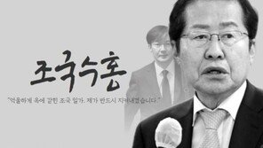 “조국 수사 과해” 홍준표 향해 野 지지자들 ‘조국수홍’ 패러디