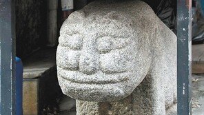 [고양이 눈]내가 보고 있다