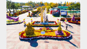 천만송이 국화꽃의 향연… 익산시, 꽃의 향기에 물들다