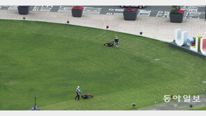 서울광장 잔디 깎기