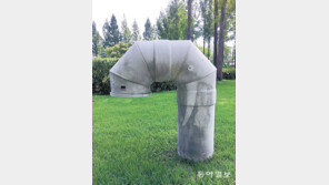 [고양이 눈]환생