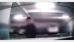 “감히 내 차 옆에 주차해? 성폭행한다” 협박한 이웃 (영상)