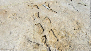 2만3000년 된 아이들 발자국…앞당겨진 북미 인류사
