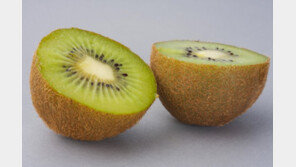 과일도 코로나 감염?…“뉴질랜드산 키위, 中서 양성반응”