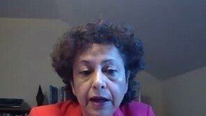 UN 특별보고관 “韓 언론법, 국제사회에 잘못된 메시지 줄수 있어”