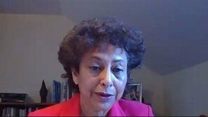 유엔 보고관 “韓 언론법, 다른 국가에 잘못된 메시지” 우려