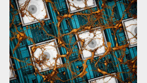삼성전자, ‘뇌 닮은 반도체’ 비전 제시…세계적 학술지 게재