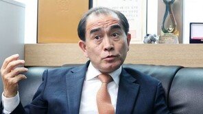 태영호 “김여정 담화, ‘핵보유국 지위 고착’ 목적”