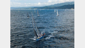 힘차게 물살 헤치며 독도로