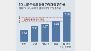 시중은행 대출여력 바닥… “최악땐 일부 대출상품 판매 중단”