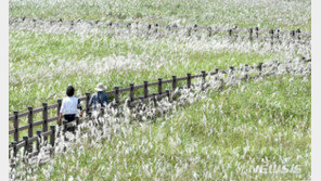 월요일 흐리고 일교차 큰 가을날씨…낮 22~27도