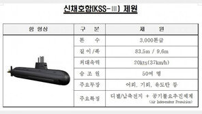 3000t급 국산 잠수함 ‘신채호함’ 공개…SLBM 장착 가능