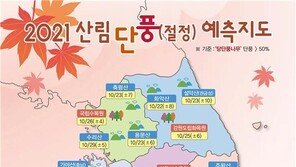 올해 전국 단풍 절정은 10월26일…작년보다 3일 늦어