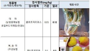 쪽파에서 잔류 농약 기준치 22배 검출…식약처, 생산자 형사고발