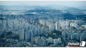 부모찬스 ‘갭투자’ 증가…서울 아파트 매입 10대 98% “임대목적”