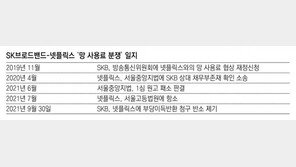 1심 승소 SK브로드밴드, 넷플릭스에 망사용료 청구 추가 소송