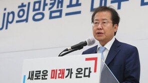 홍준표 “목동 집만 사던 분이 연희동 골목집을…로또식 우연”