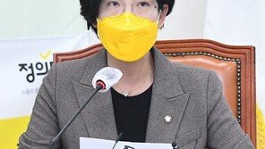 장혜영 “프리랜서, 직장인보다 세금 더내”…홍남기 “제도변경 검토”