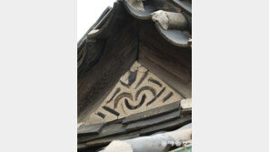 [고양이 눈]웃어요!