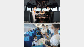 조종 체험-골프 항공권-기내식 카페… 경영난 항공사 ‘부업 비행’ 