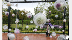 [날씨]찬 이슬 맺히는 ‘한로’…흐리고 비오고 기온 높아